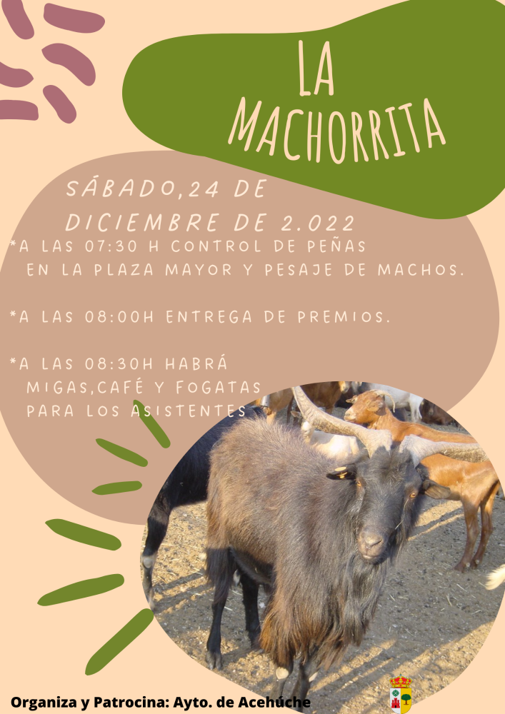 Imagen Celebración de 