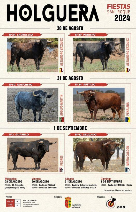 Imagen Cartel de los toros Fiestas San Roque 2024 en Holguera