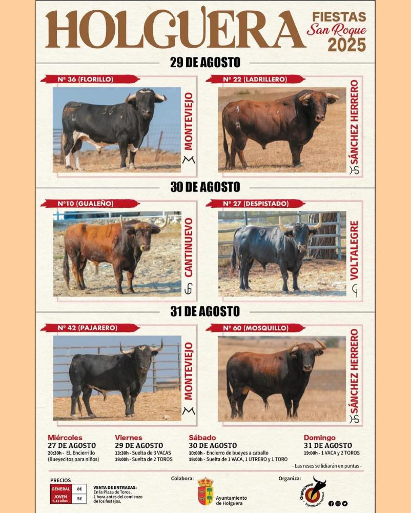 Imagen Toros Fiestas de San Roque en Holguera