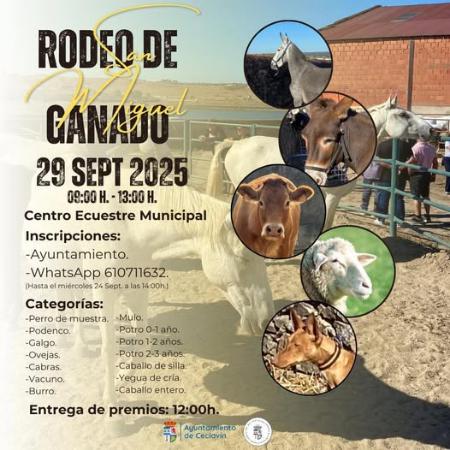 Imagen 29 de Septiembre - Rodeo-feria de ganado en Ceclavín