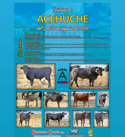 Imagen Cartel Festejos taurinos 2026 en Acehúche